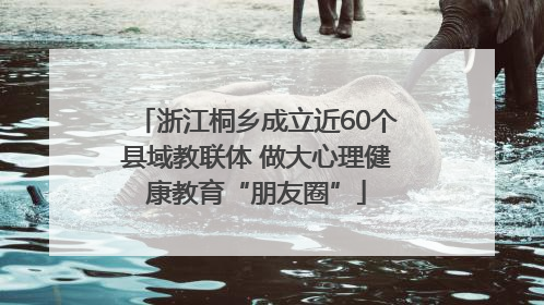 浙江桐乡成立近60个县域教联体 做大心理健康教育“朋友圈”