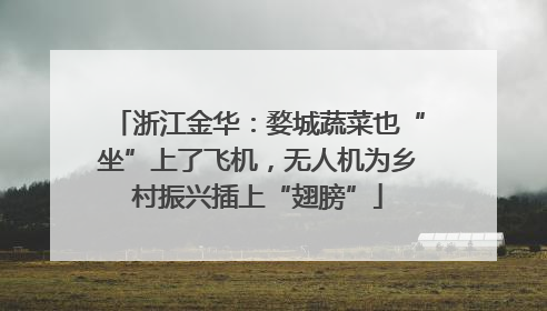 浙江金华：婺城蔬菜也“坐”上了飞机，无人机为乡村振兴插上“翅膀”