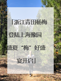 浙江青田杨梅登陆上海豫园 盛夏“梅”好盛宴开启
