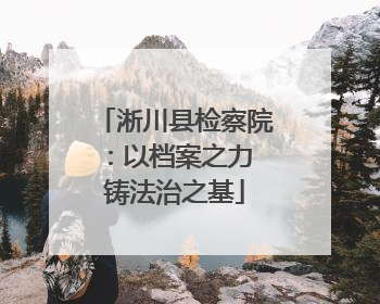 淅川县检察院：以档案之力 铸法治之基