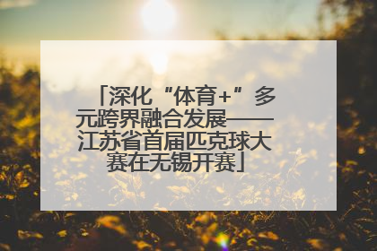 深化“体育+”多元跨界融合发展——江苏省首届匹克球大赛在无锡开赛