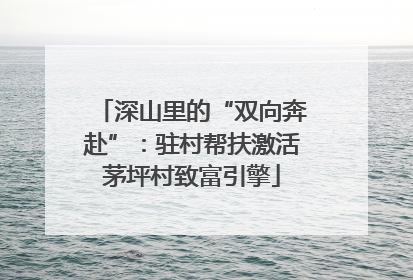 深山里的“双向奔赴”：驻村帮扶激活茅坪村致富引擎