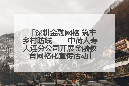 深耕金融网格 筑牢乡村防线——中荷人寿大连分公司开展金融教育网格化宣传活动