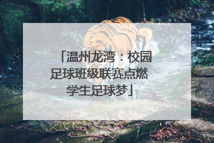 温州龙湾：校园足球班级联赛点燃学生足球梦