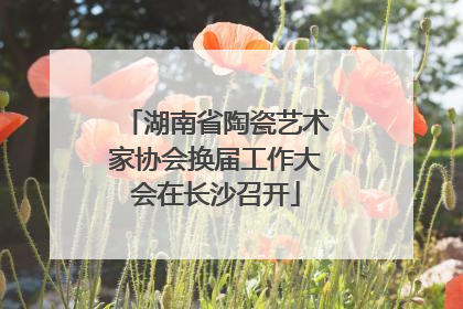 湖南省陶瓷艺术家协会换届工作大会在长沙召开