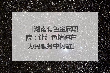 湖南有色金属职院：让红色精神在为民服务中闪耀