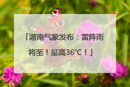湖南气象发布：雷阵雨将至！最高36℃！