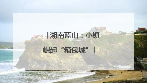 湖南蓝山：小镇崛起“箱包城”