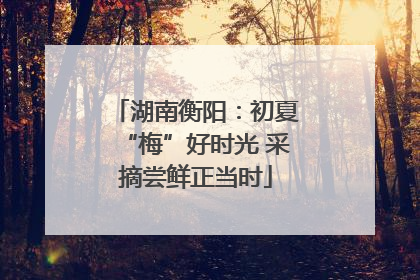 湖南衡阳：初夏“梅”好时光 采摘尝鲜正当时