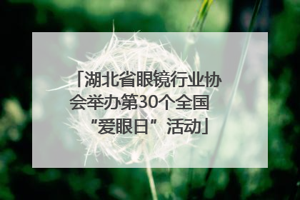 湖北省眼镜行业协会举办第30个全国“爱眼日”活动