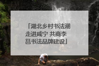湖北乡村书法潮走进咸宁 共商李邕书法品牌建设
