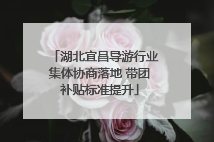 湖北宜昌导游行业集体协商落地 带团补贴标准提升