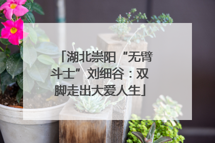 湖北崇阳“无臂斗士”刘细谷：双脚走出大爱人生