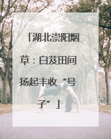 湖北崇阳烟草：白芨田间扬起丰收“号子”