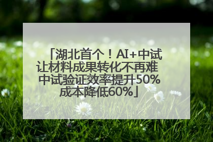 湖北首个！AI+中试让材料成果转化不再难 中试验证效率提升50%成本降低60%