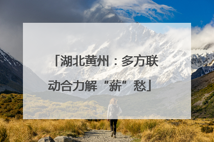 湖北黄州：多方联动合力解“薪”愁