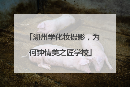 湖州学化妆摄影，为何钟情美之匠学校