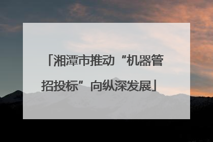 湘潭市推动“机器管招投标”向纵深发展