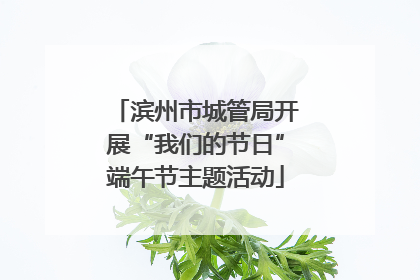 滨州市城管局开展“我们的节日”端午节主题活动