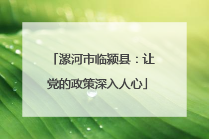 漯河市临颍县：让党的政策深入人心