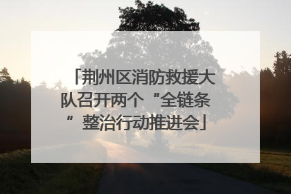 荆州区消防救援大队召开两个“全链条”整治行动推进会