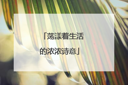 荡漾着生活的浓浓诗意