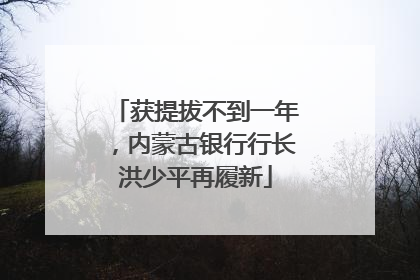 获提拔不到一年，内蒙古银行行长洪少平再履新