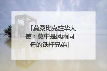 莫桑比克驻华大使：莫中是风雨同舟的铁杆兄弟