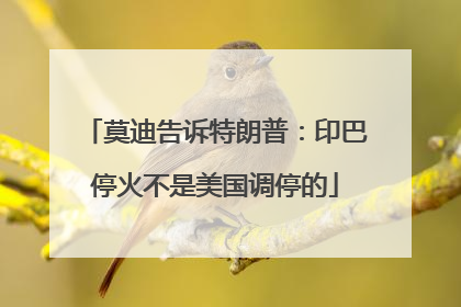 莫迪告诉特朗普：印巴停火不是美国调停的