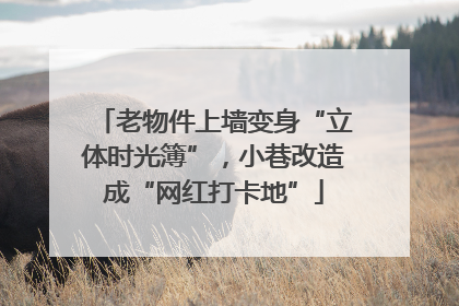 老物件上墙变身“立体时光簿”，小巷改造成“网红打卡地”