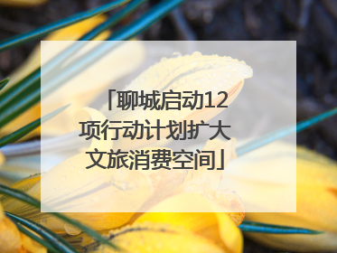 聊城启动12项行动计划扩大文旅消费空间