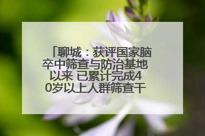 聊城：获评国家脑卒中筛查与防治基地以来 已累计完成40岁以上人群筛查干预40余万人次