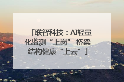 联智科技：AI轻量化监测“上岗” 桥梁结构健康“上云”