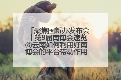 聚焦国新办发布会丨第9届南博会速览⑥云南如何利用好南博会的平台带动作用，深化与南亚国家的交流与合作？