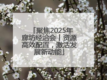 聚焦2025年廊坊经洽会丨资源高效配置，激活发展新动能