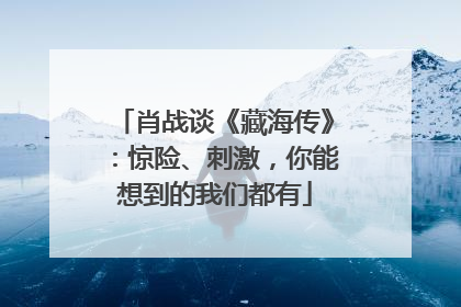 肖战谈《藏海传》：惊险、刺激，你能想到的我们都有