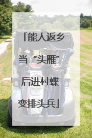 能人返乡当“头雁” 后进村蝶变排头兵