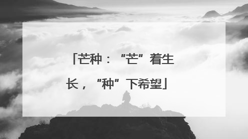 芒种：“芒”着生长，“种”下希望