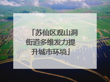 苏仙区观山洞街道多维发力提升城市环境