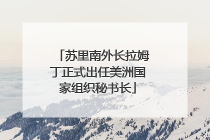 苏里南外长拉姆丁正式出任美洲国家组织秘书长