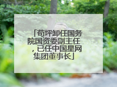 苟坪卸任国务院国资委副主任，已任中国星网集团董事长