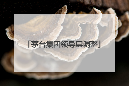 茅台集团领导层调整