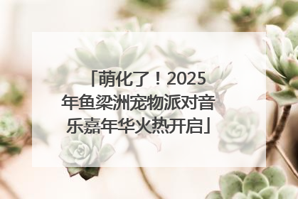 萌化了！2025年鱼梁洲宠物派对音乐嘉年华火热开启