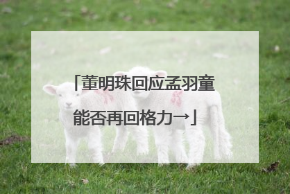 董明珠回应孟羽童能否再回格力→