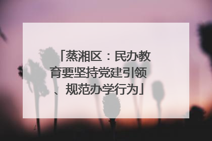 蒸湘区：民办教育要坚持党建引领、规范办学行为