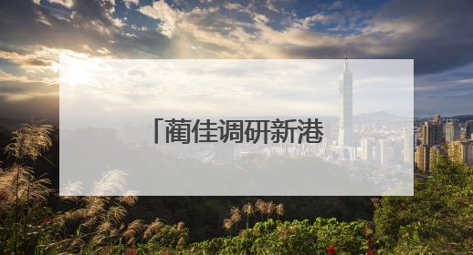蔺佳调研新港区内重点企业