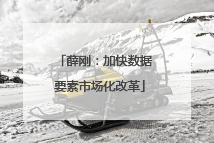薛刚：加快数据要素市场化改革