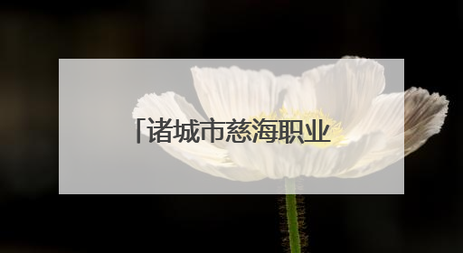 诸城市慈海职业中等专业学校2025年招生录取工作实施方案