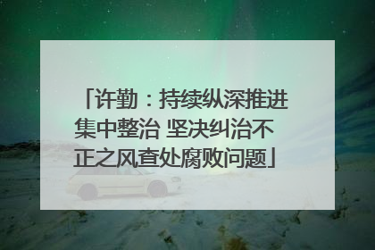 许勤：持续纵深推进集中整治 坚决纠治不正之风查处腐败问题