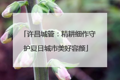 许昌城管：精耕细作守护夏日城市美好容颜